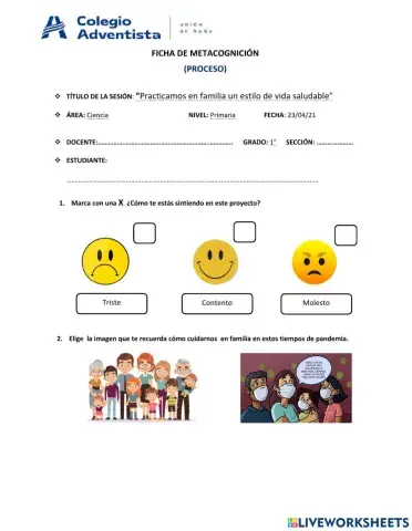 Ficha de metacognición