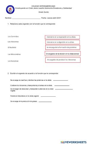 Funciones en la celula