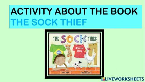 Activity about the book the sock thief