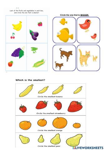 5B U2 Comparatives Superlatives WarmUp