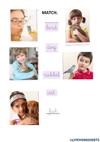 Match animals