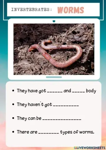 Invertebrates: WORMS