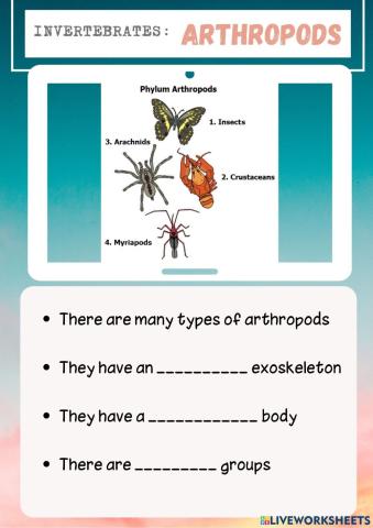 Invertebrates: ARTHROPODS