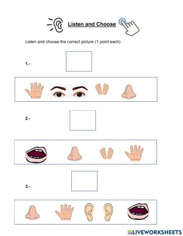 Listening quiz n°3 parts of the boby
