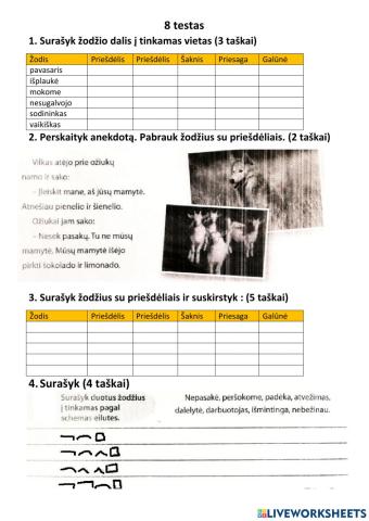 Testas Nr.8 Pupa 3 kl