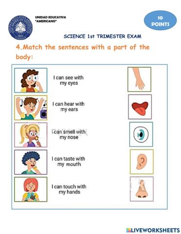 Science 1° trimester evaluation (3)