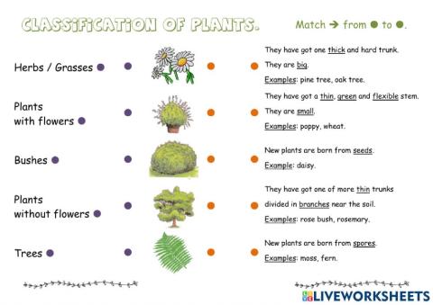 Classofication of plants.