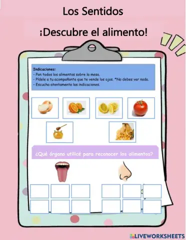 El gusto y el olfato