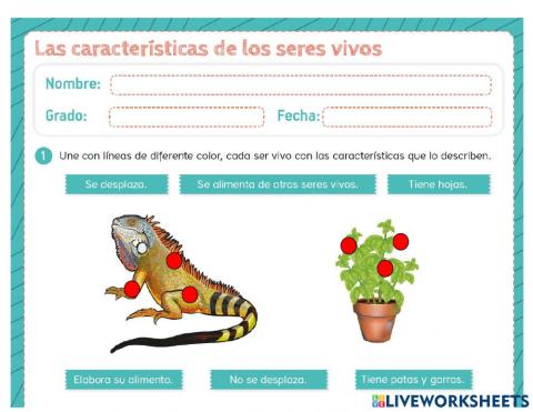 Seres  vivos e inertes