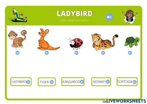 Ladybird-1