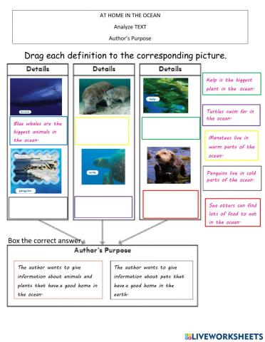 At home in the ocean