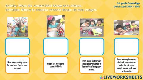 Steps to make a bird