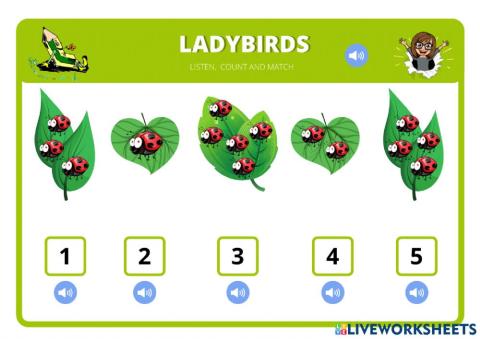 Ladybird-2