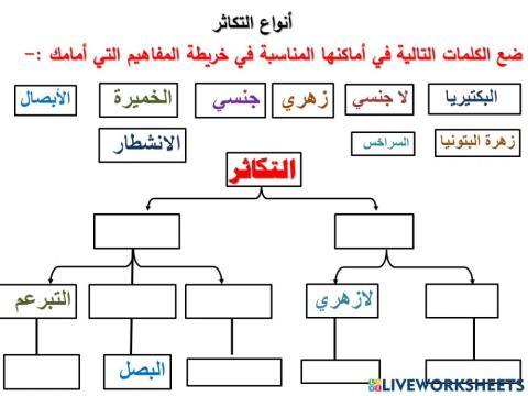 انواع التكاثر