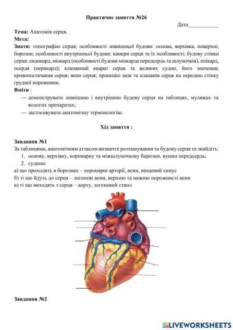 Практичне заняття №26