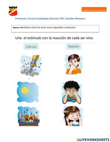 Estímulos