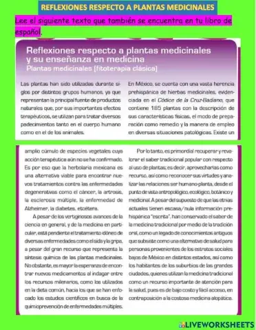 Reflexiones respecto a las plantas medicinales