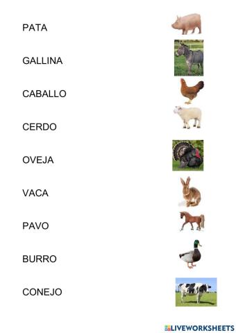 Vocabulario animales