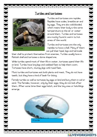 Turtles and tortoises