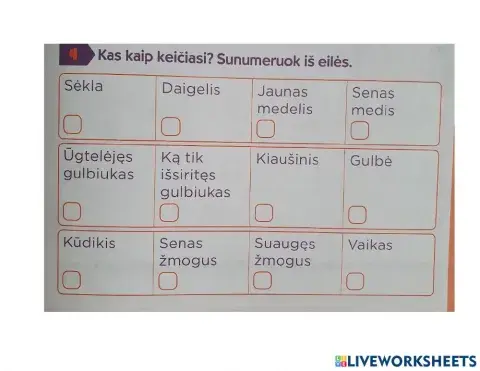 Sunumeruok iš eilės, kaip viskas vyksta