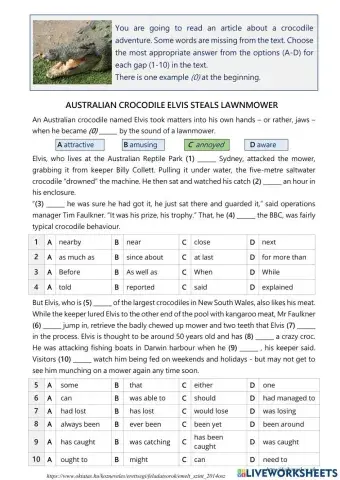 A Crocodile Adventure