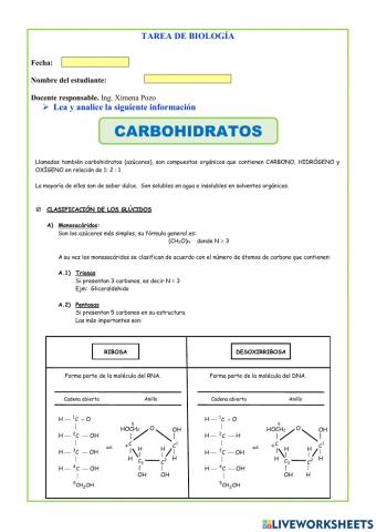 Carbohidratos