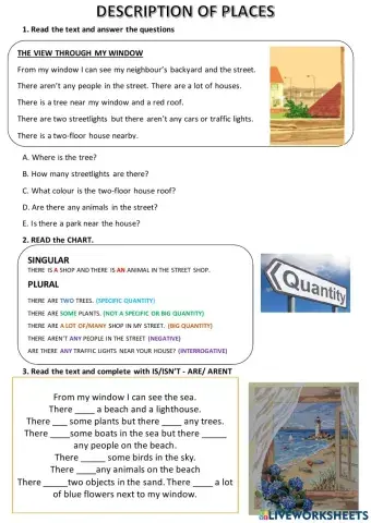 The view from my window