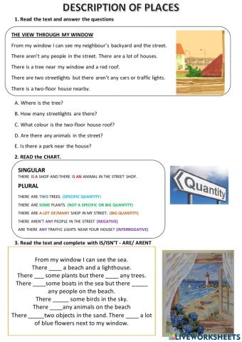 The view from my window