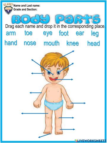 4th.grade project week 14.3