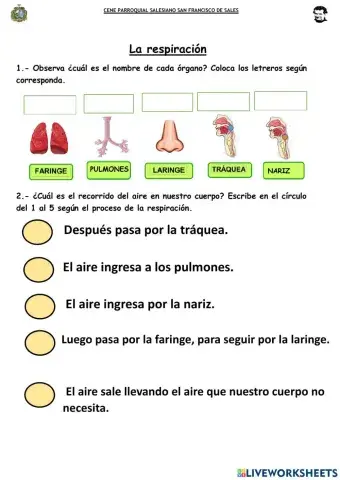 Sfs - LA RESPIRACIÓN