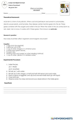 Acid Rain experiment