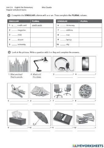 Singular and plural nouns