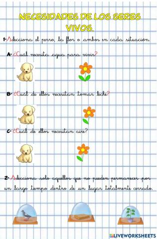Necesidades e los seres vivos