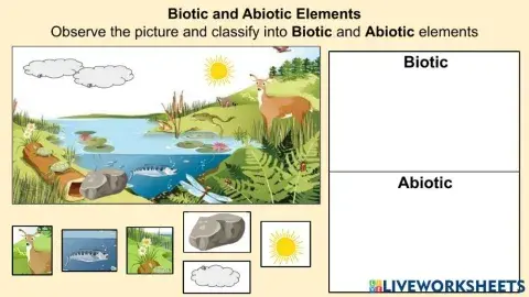 The Earth: A Party of Interactions