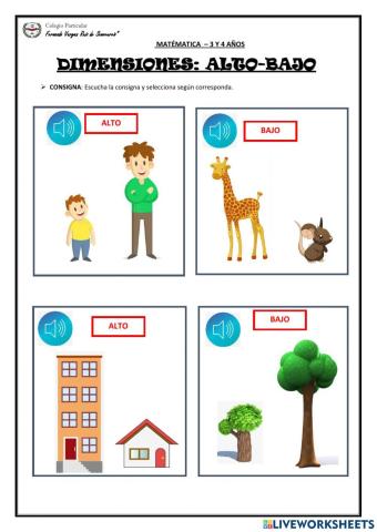 Dimensiones :Alto-bajo