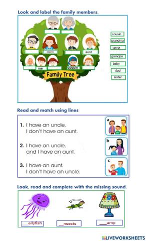 Evaluated Activity Second Period
