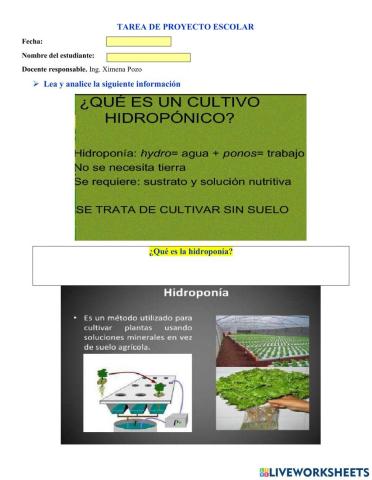 Hidroponía