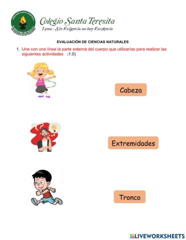 Evaluación ciencias