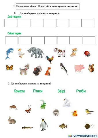 Які бувають тварини?