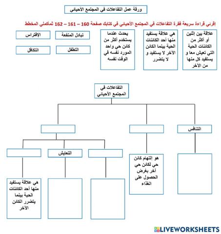 ورقة عمل التفاعلات بين الكائنات الحية