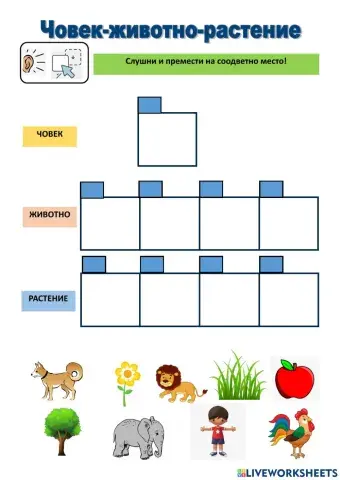 Човек-животно-растение