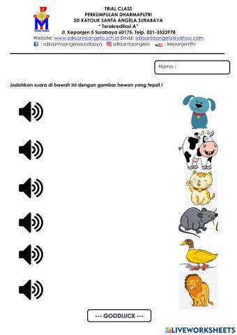 Mengenal suara hewan