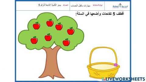 مهارات ماقبل الحساب1