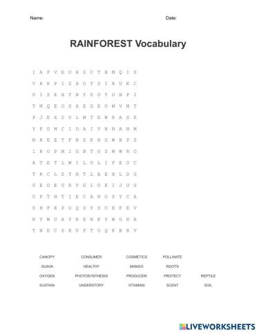Rainforest Vocabulary Word Search