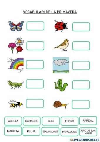 Vocabulari de la primavera