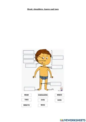 Head, shoulders, knees and toes