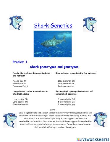 Shark Genetics