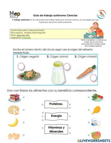 Alimentos saludables