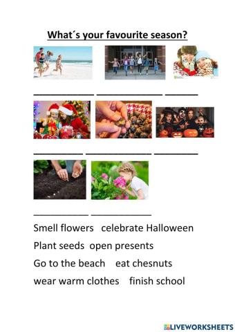 Seaonsal activity vocabulary