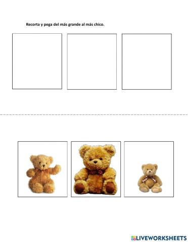 Grande, mediano, chico